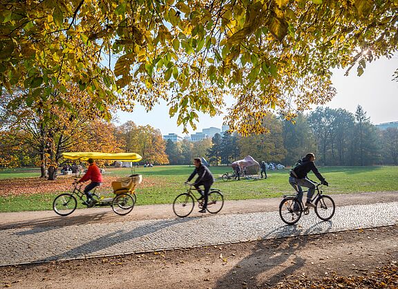 Radfahrer in einem Park im Herbst
