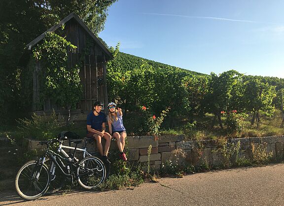 ADFC-Qualitätsradroute mit vier Sternen: Württemberger Weinradweg.