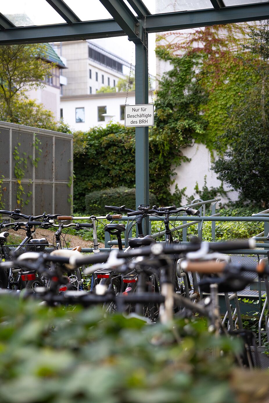 Überdachte Fahrradparkplätze auf dem Gelände des Bundesrechnungshofes Überdachte Fahrradparkplätze auf dem Gelände des Bundesrechnungshofes