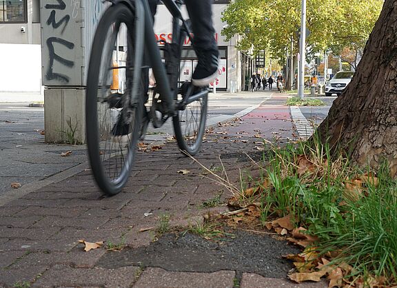 Fahrrad auf Radweg